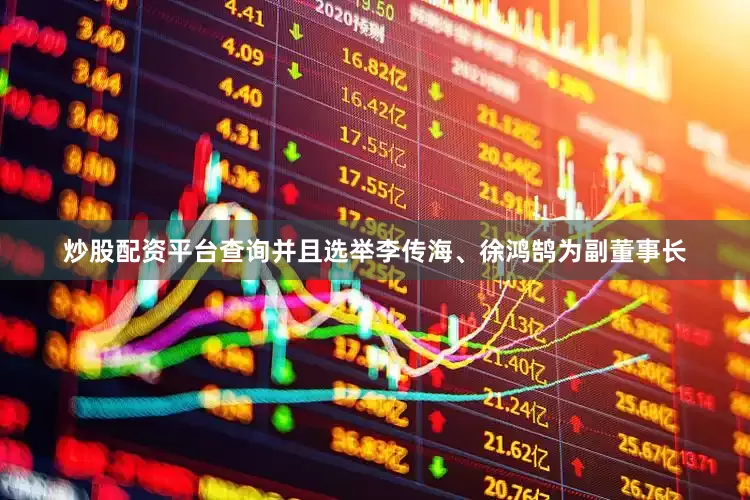 炒股配资平台查询并且选举李传海、徐鸿鹄为副董事长
