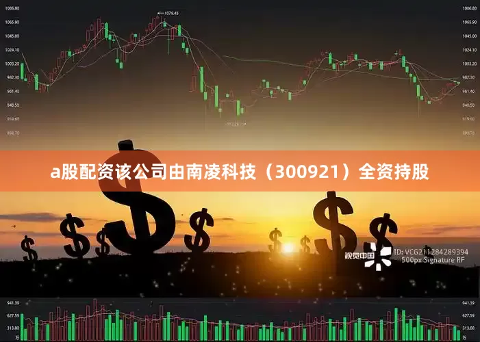 a股配资该公司由南凌科技（300921）全资持股